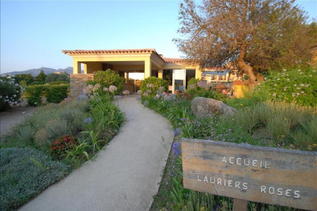 Location De Vacances Olivier Jardin Privatif Et Piscine Chauffee Partagee Calvi  Eksteriør billede