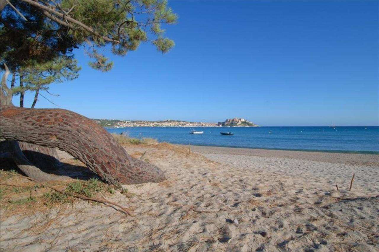 Location De Vacances Olivier Jardin Privatif Et Piscine Chauffee Partagee Calvi  Eksteriør billede